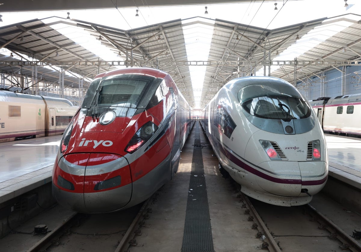 Trenes de alta velocidad de Iryo y Renfe, estacionados en María Zambrano.