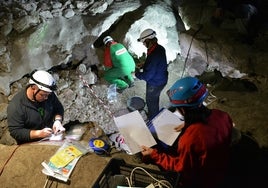 Recogida de muestras en la Cueva de Malalmuerzo, en Granada.