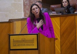 La consejera Loles López, durante su intervención.