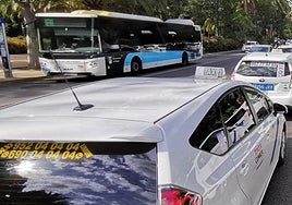 Taxis y un autobús urbano de Málaga.