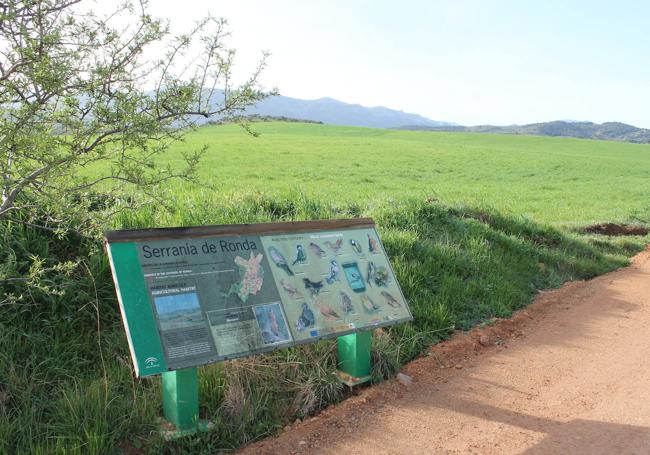 En mitad del camino hay indicativos sobre la presencia de avifauna.