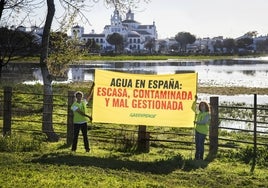 Activistas de Greenpeace protestan en Doñana con motivo del Día del Agua