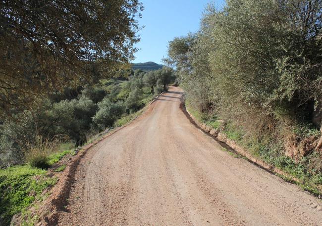 Tras algo más de kilómetro y medio desde el inicio, la ruta se va haciendo más interesante.