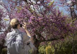 El tiempo en Málaga: pocas nubes y temperaturas próximas a los 25 grados