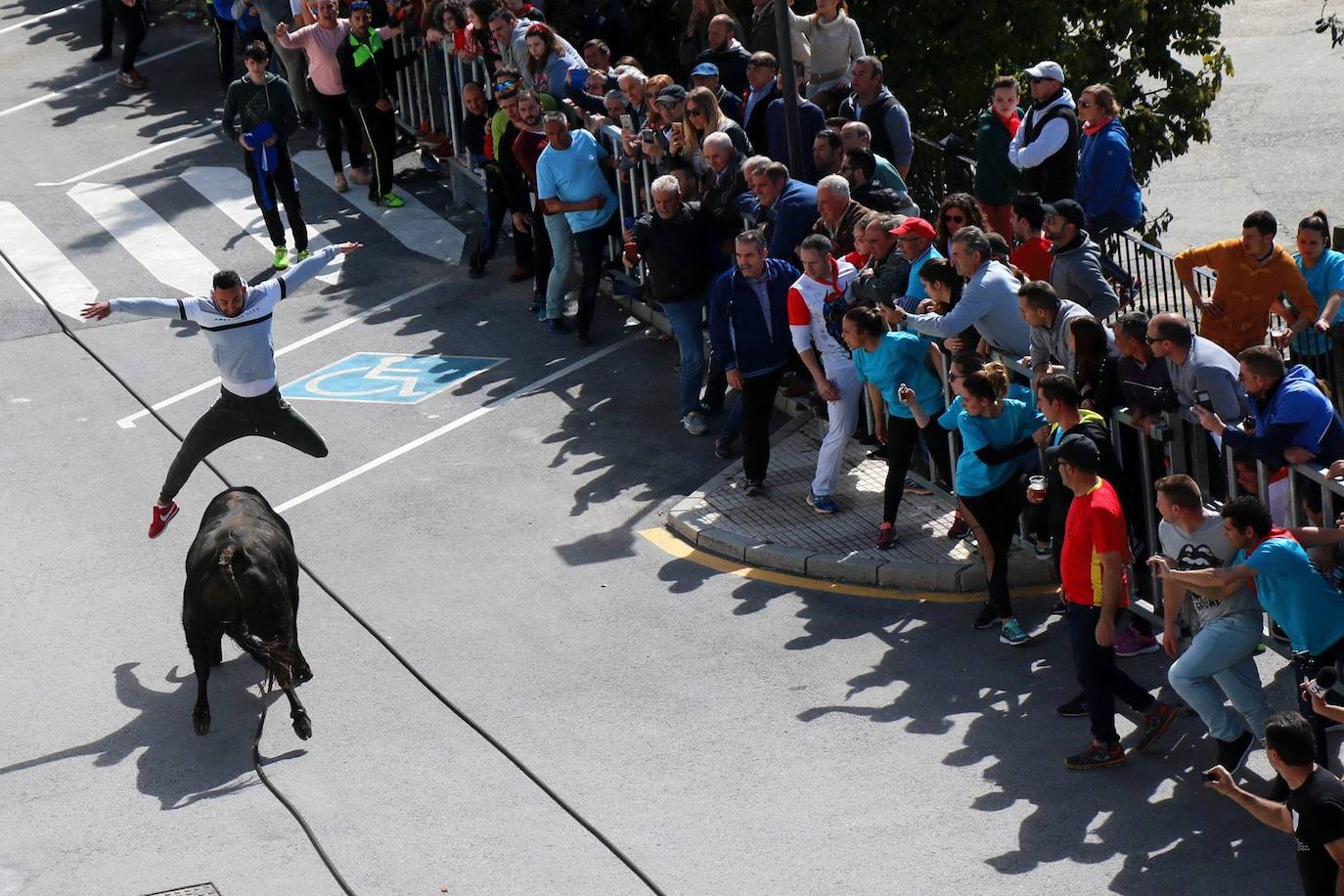 Toro de Cuerda en Gaucín.