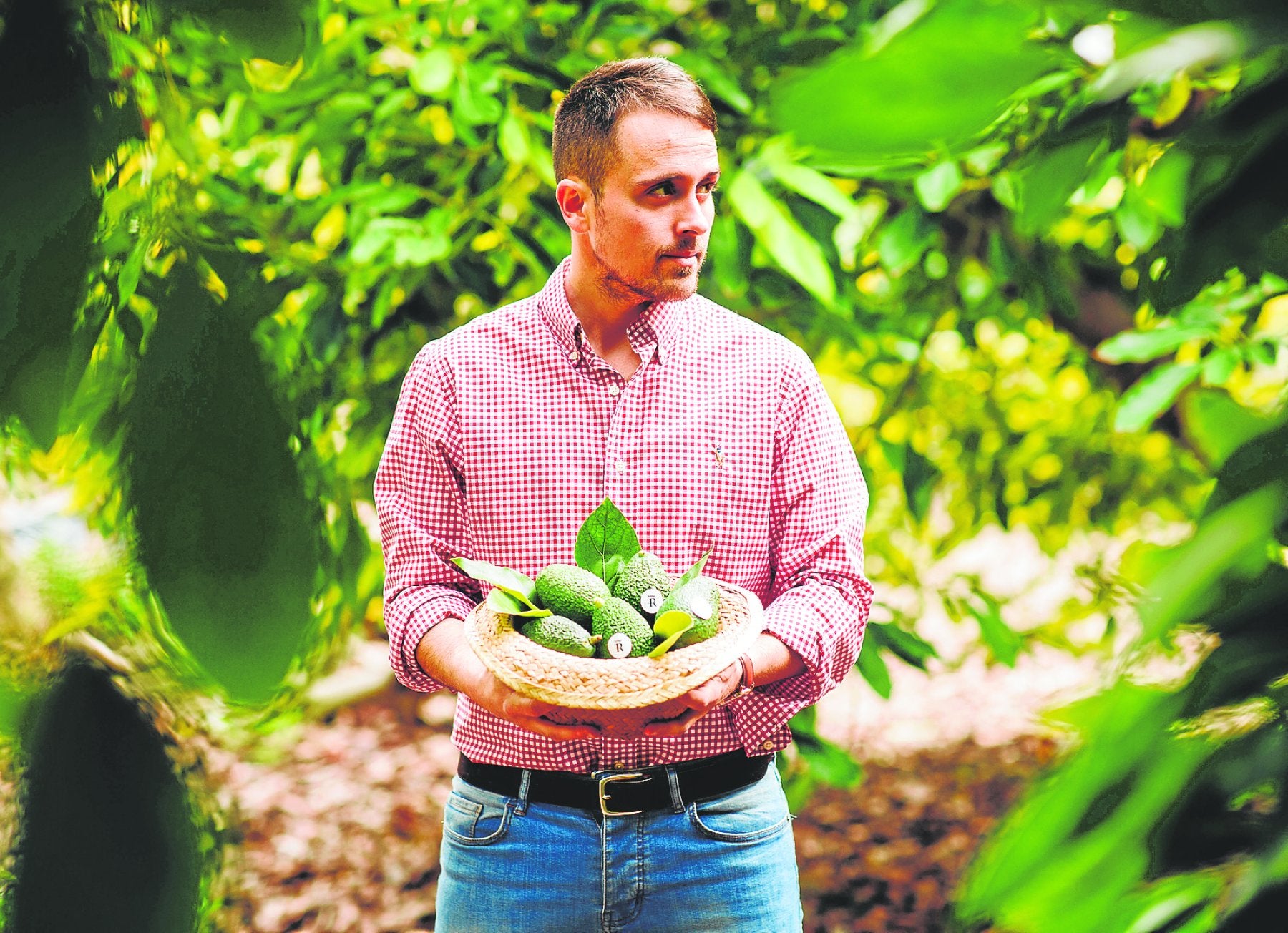 Salvador Gallego, de 33 años, está al frente de la firma con la finca que sembraron sus abuelos.