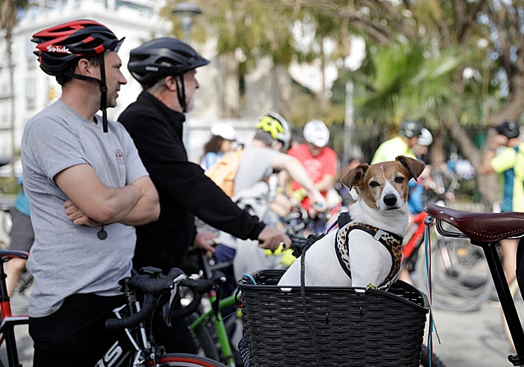 Algunas mascotas han acompañado a sus dueños en la manifestación.