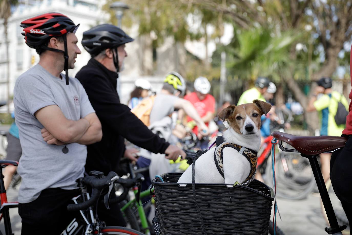 Casi mil personas se manifiestan en Málaga para exigir más carriles bici