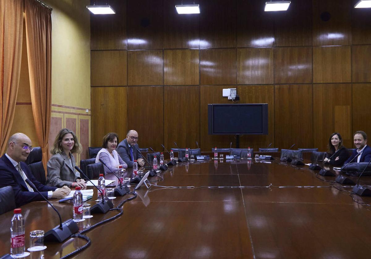 La vicepresidenta del Parlamento, Ana Mestre, y el letrado de la Cámara junto a los representantes del PP y Vox.