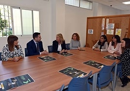 Reunión del programa POPI celebrada este martes en Marbella.