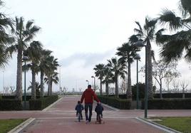 Una veintena de bebés de vientres de alquiler son inscritos cada año en Málaga