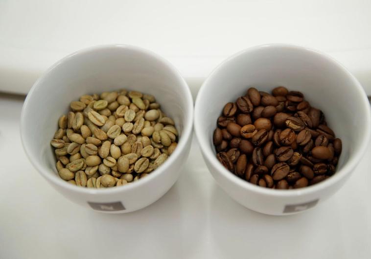 ¿Qué tomas: café natural, de mezcla..., o torrefacto?