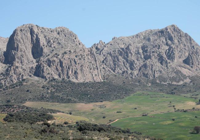 Conjunto de tajos de la Alta Axarquía