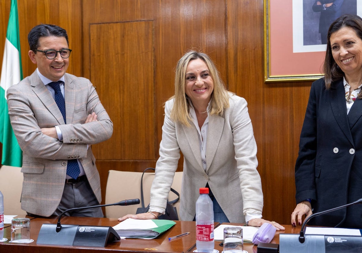 Marifrán Carazo, con los diputados Manuel Guzmán y Ana Chocano, presidenta de la comisión.