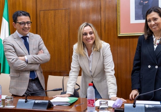 Marifrán Carazo, con los diputados Manuel Guzmán y Ana Chocano, presidenta de la comisión.