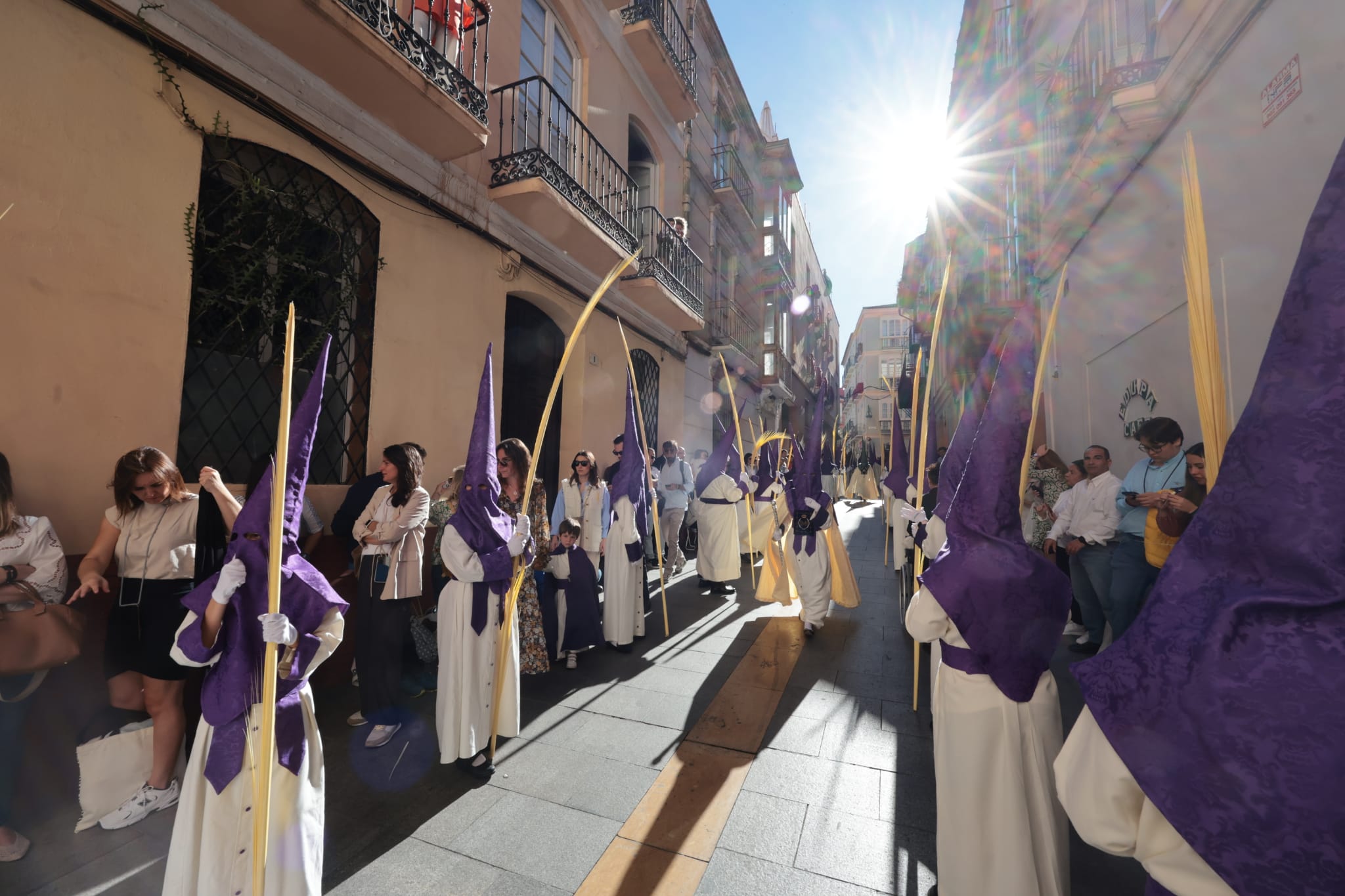 Semana Santa de Málaga 2023: Domingo de Ramos