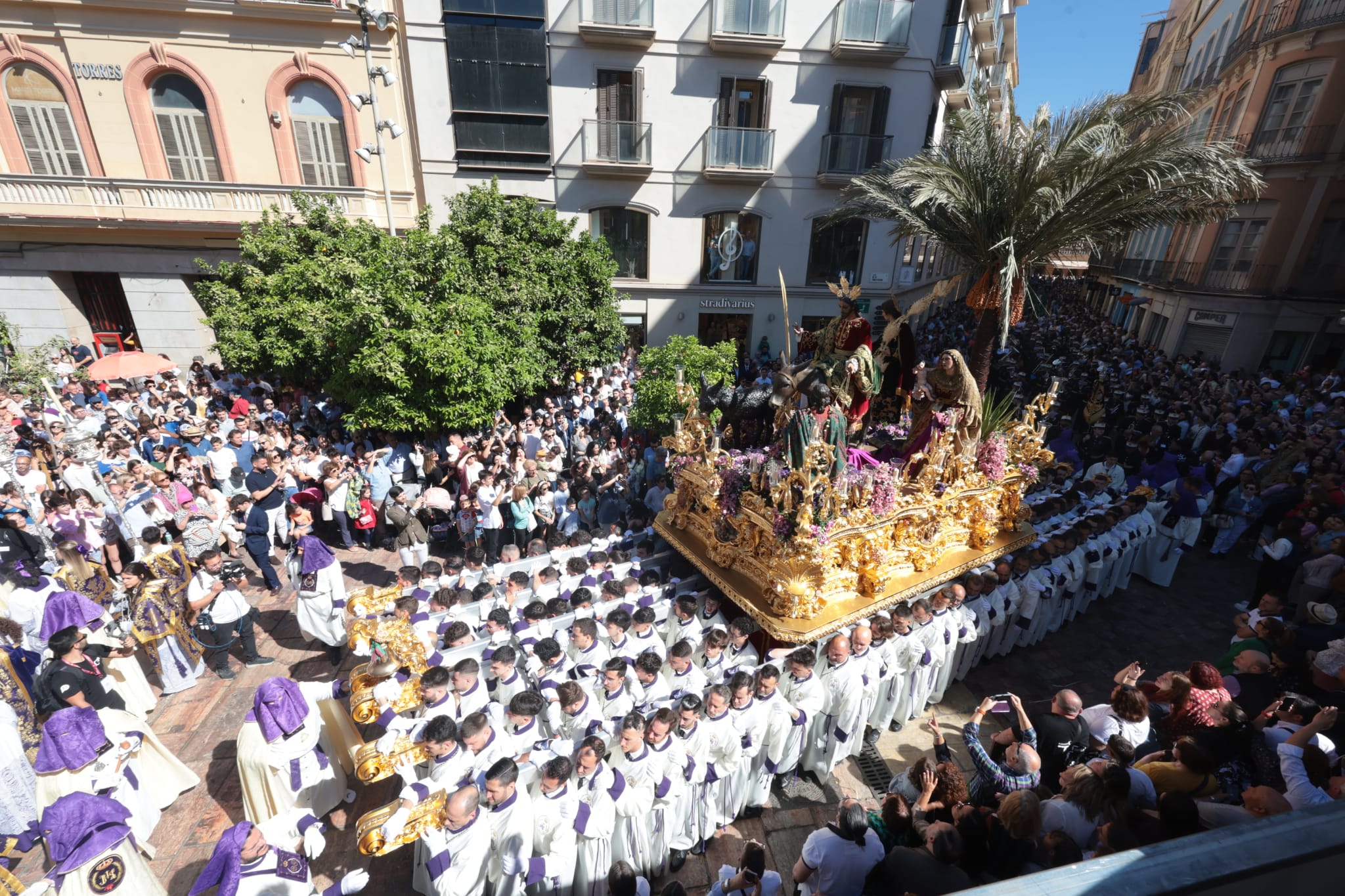 Semana Santa de Málaga 2023: Domingo de Ramos