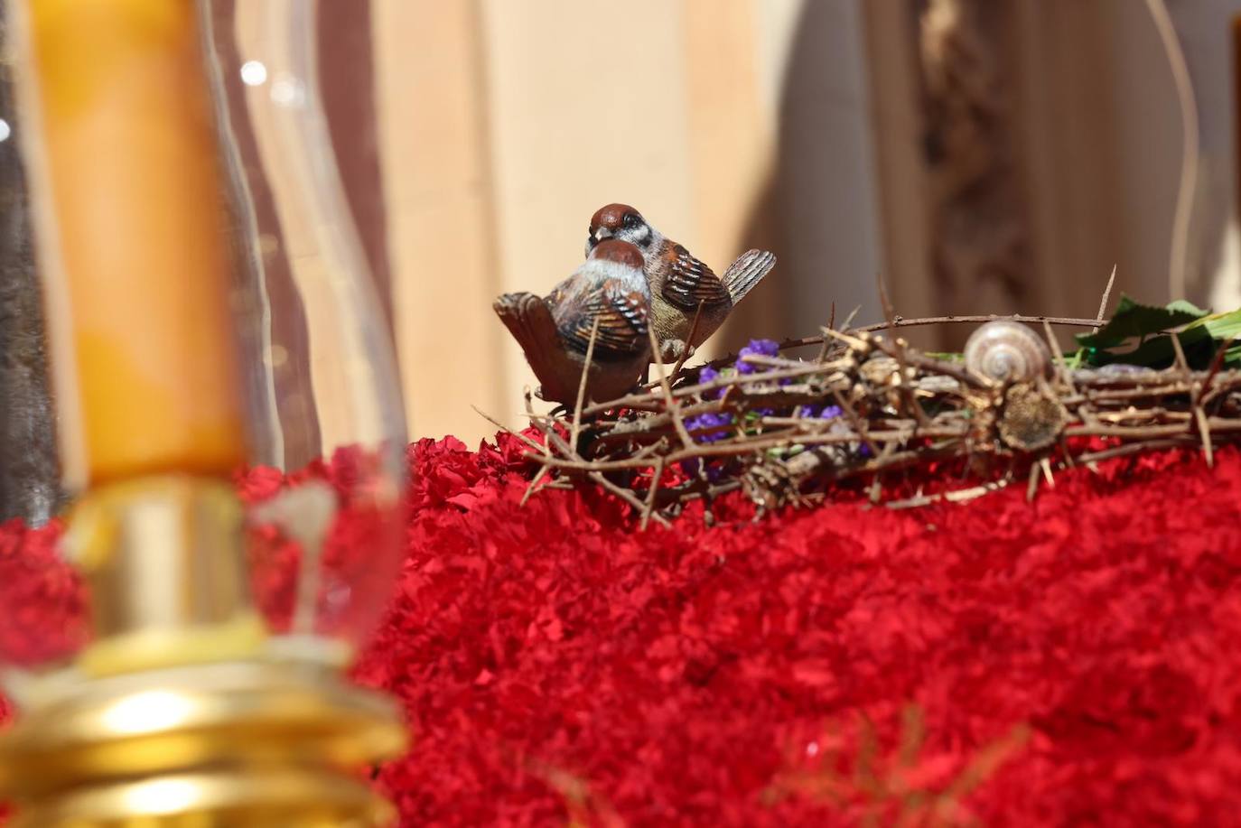 Semana Santa de Málaga 2023: Domingo de Ramos