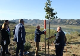 El presidente de la Diputación, Francisco Salado, en la siembra de un árbol, este lunes en el entorno de la presa viñolera.