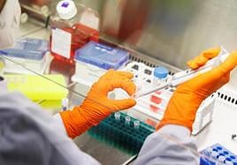 Investigadores descubren una nueva combinación de fármacos para tratar un raro cáncer pediátrico