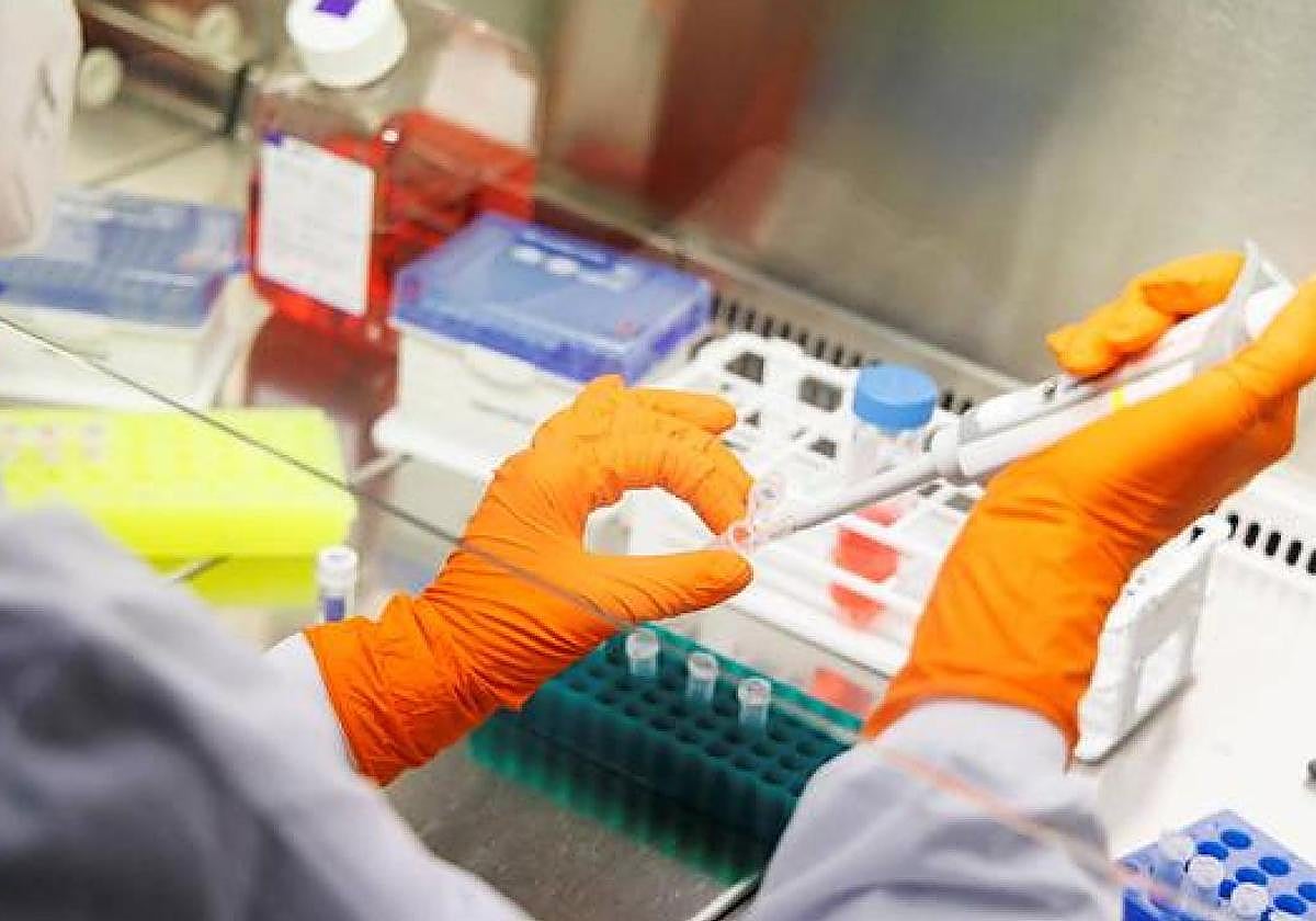 Investigadores descubren una nueva combinación de fármacos para tratar un raro cáncer pediátrico