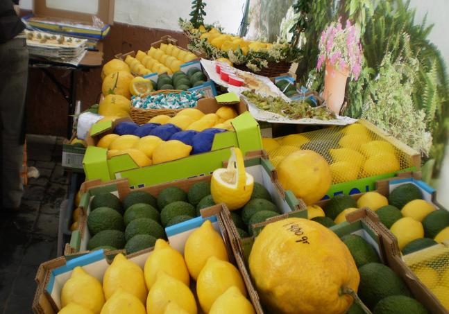 Limones y aguacates de Benamargosa.