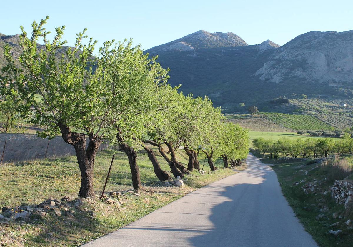 Este recorrido circular pasa junto a cuatro pilas que fueron muy importantes antaño.