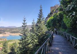 A los pies del antiguo castillo, con vistas panorámicas, aguarda este espléndido pinsapar.