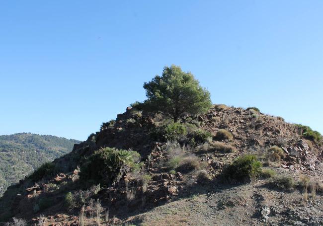 Cerro de Híjar.