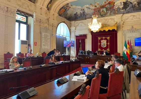 En la imagen, la última comisión de Derechos Sociales de este mandato municipal 2019-2023.