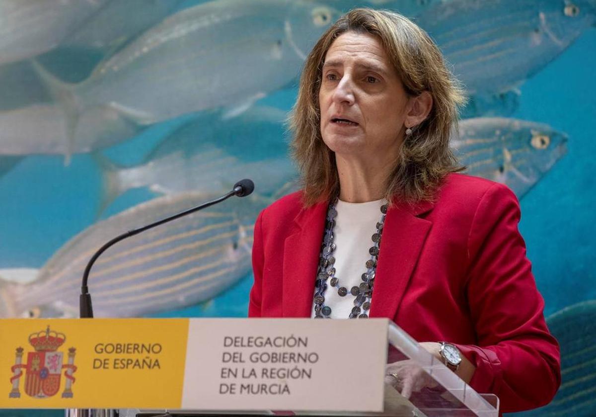 Teresa Ribera, vicepresidenta tercera y ministra para la Transición Ecológica