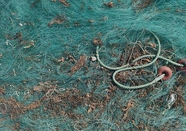 Las artes infectadas de los pescadores son un vector de dispersión del alga invasora.