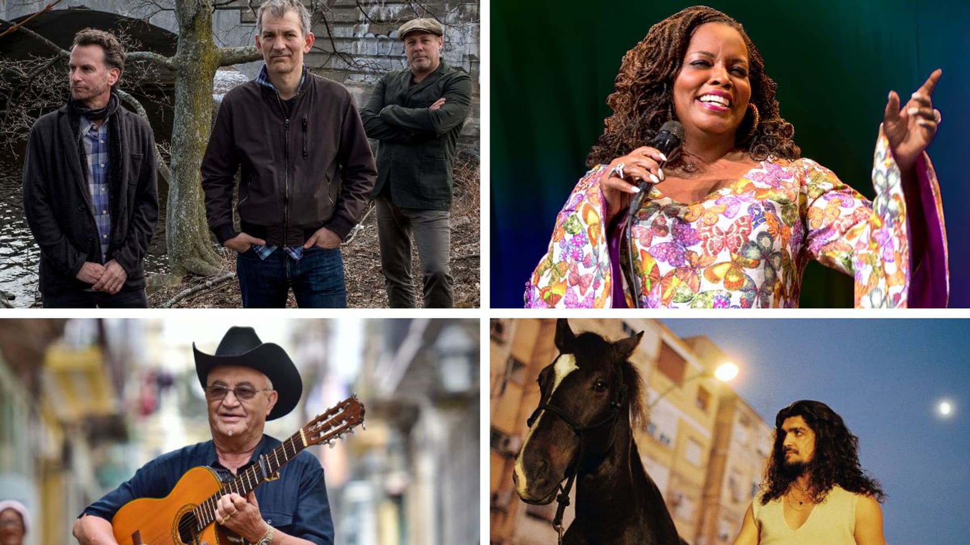 Festival de verano del Teatro Cervantes: Dianne Reeves, Eliades Ochoa, Brad  Mehldau e Israel Fernández dan aire a un Terral internacional y aferrado a  la raíz | Diario Sur