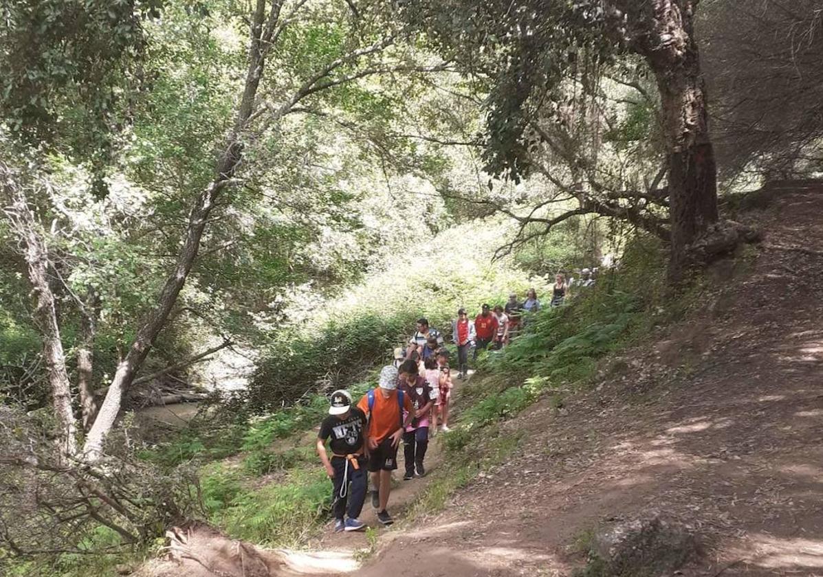 Organizan una ruta para conocer ver la mariposa monarca