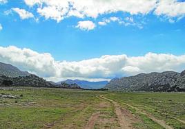 Este enclave se puede recorrer a pie entre Montejaque y Cortes de la Frontera.