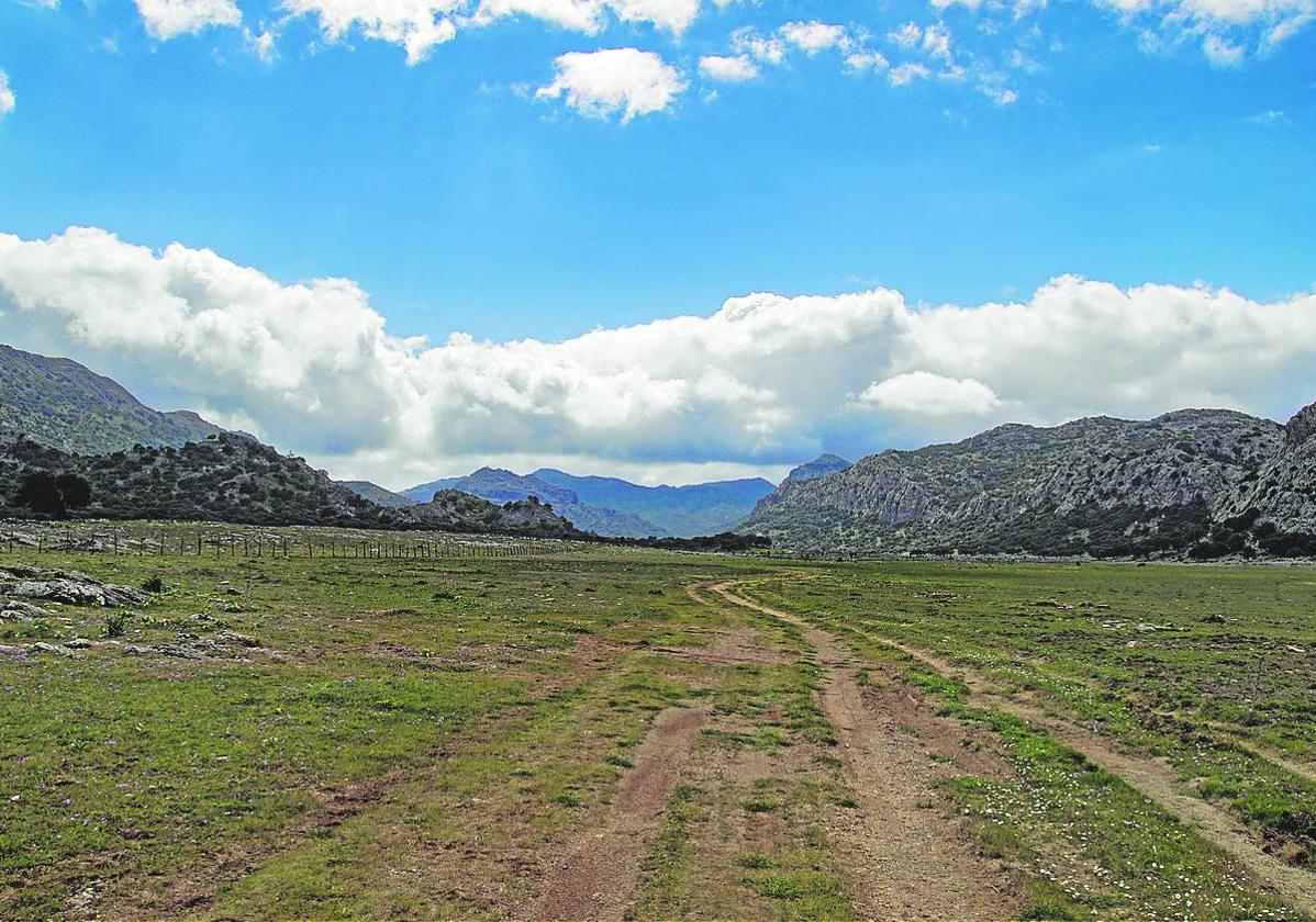 Este enclave se puede recorrer a pie entre Montejaque y Cortes de la Frontera.