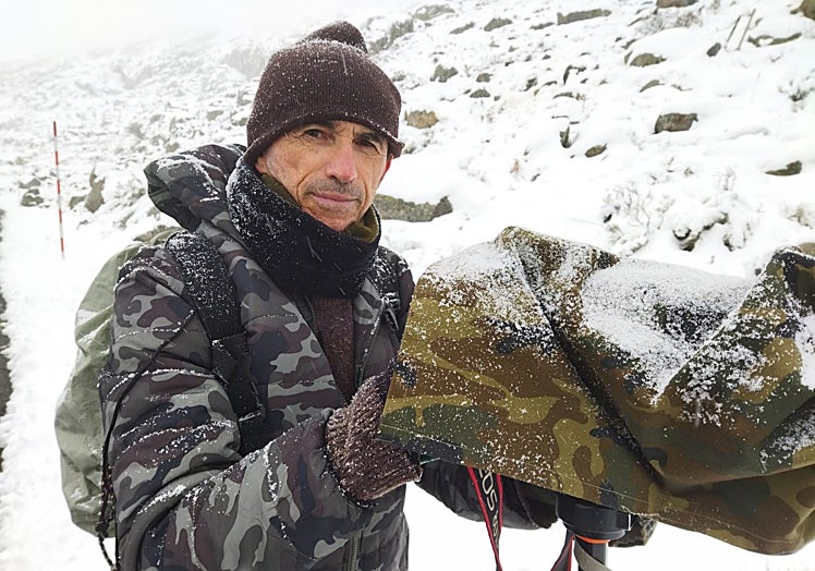 Imagen principal - Arriba, Sebastián García Acosta, con su equipo en la Sierra de Gredos en noviembre de 2021; abajo a la izquierda, un macho montés en la nieve en la misma sierra, y a la izquierda, el 'supercampeón', asomado al mar desde un tejado.