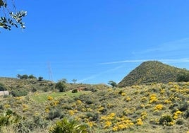 El nuevo panel informativo que resume la historia de Cerro Torrón