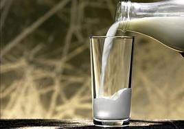 Ganaderos calculan que tirarán unos 400.000 litros de leche al día hasta un nuevo acuerdo de precios
