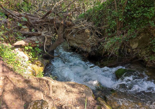 Hay muchos saltos de agua a lo largo de este sendero.