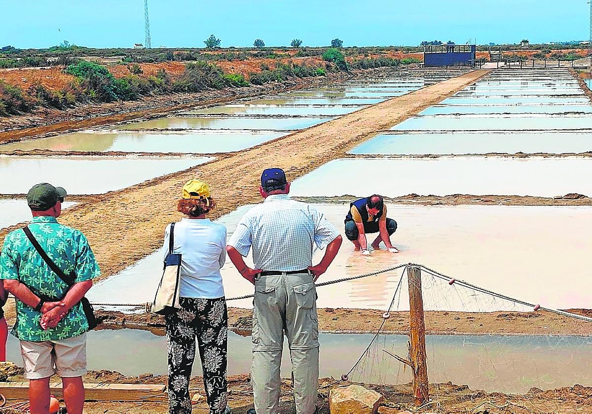 Salinas de Chiclana, gastronomía y naturaleza