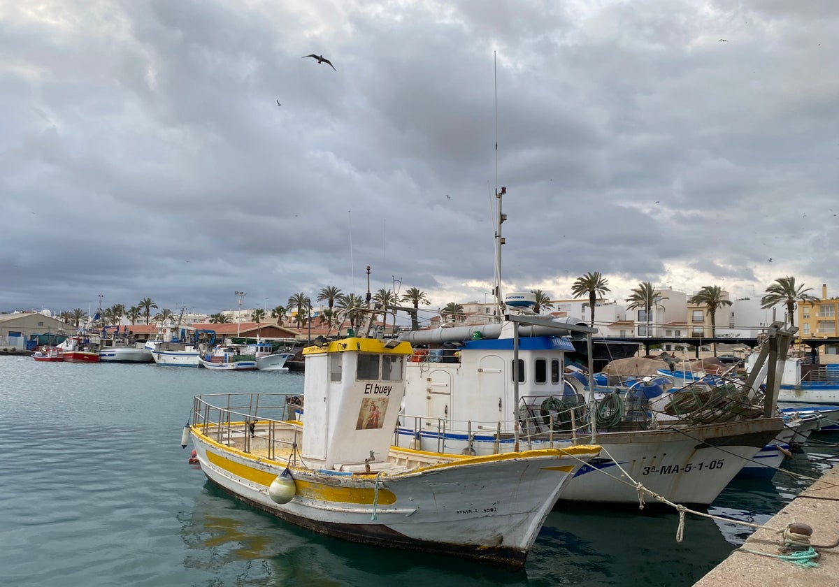 Imagen de archivo del puerto de Caleta de Vélez, el de mayor volumen de capturas en la provincia.