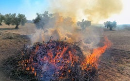 Andalucía amplía la prohibición de quemas agrícolas para prevenir incendios forestales