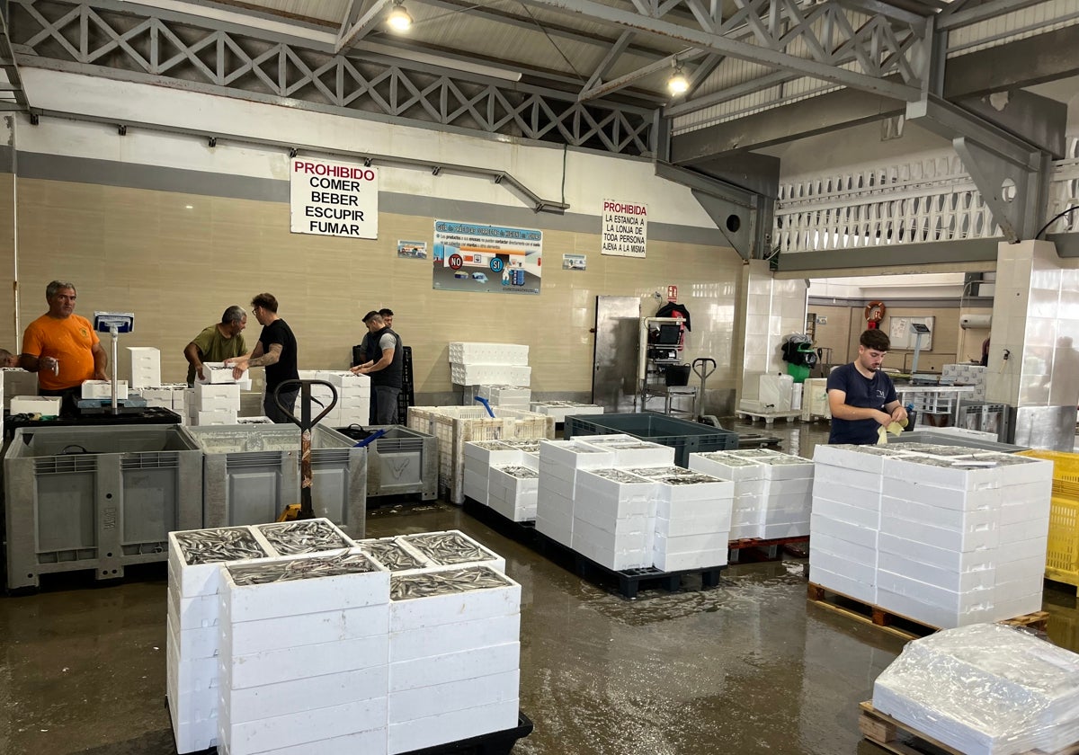 Imagen de la lonja del puerto de Caleta de Vélez, el de mayor volumen de facturación de la provincia.