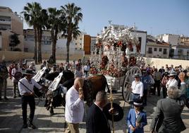 La Real Hermandad de Málaga camina hacia el Rocío