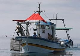 El BOJA publica las bases reguladoras de ayudas a las Organizaciones de Productores Pesqueros