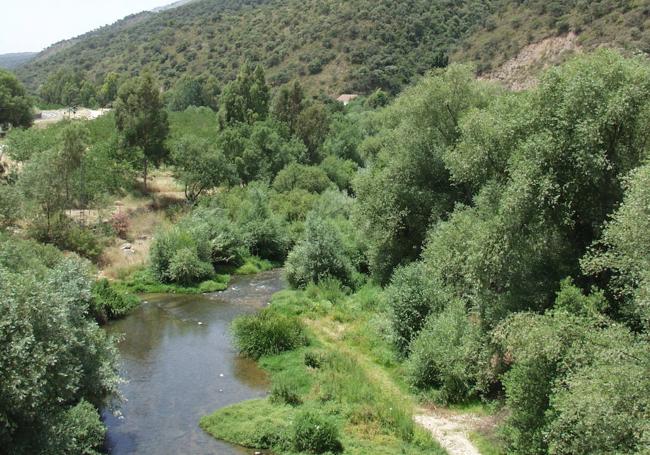 Río Guadiaro.