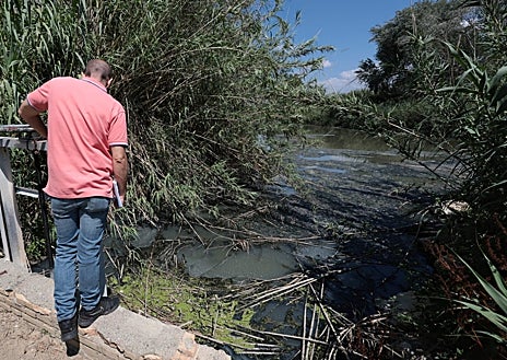 Imagen secundaria 1 - La cara sucia del Guadalhorce: vertidos, escombros y hasta animales muertos