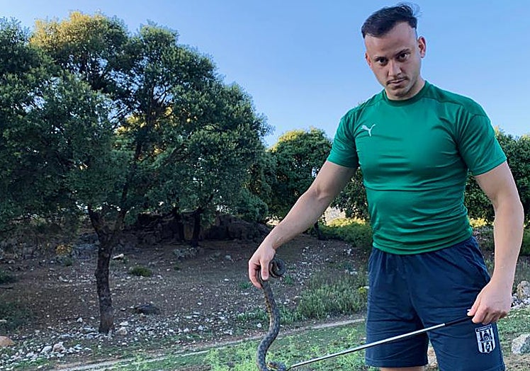 Imagen principal - Arriba, Eduardo Fernández, con otro ejemplar de serpiente; abajo a la izquierda, un camaleón, y a la derecha, el estanque ha construido en su finca de Alfarnate.