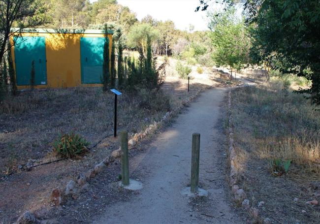 Primer desvío a la derecha por sendero